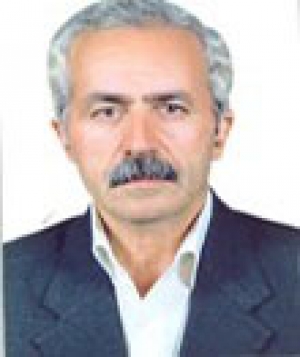 احمد فرهی