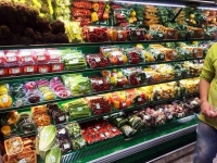 نمایشگاه کشاورزی و مواد غذایی 2019 بلاروس